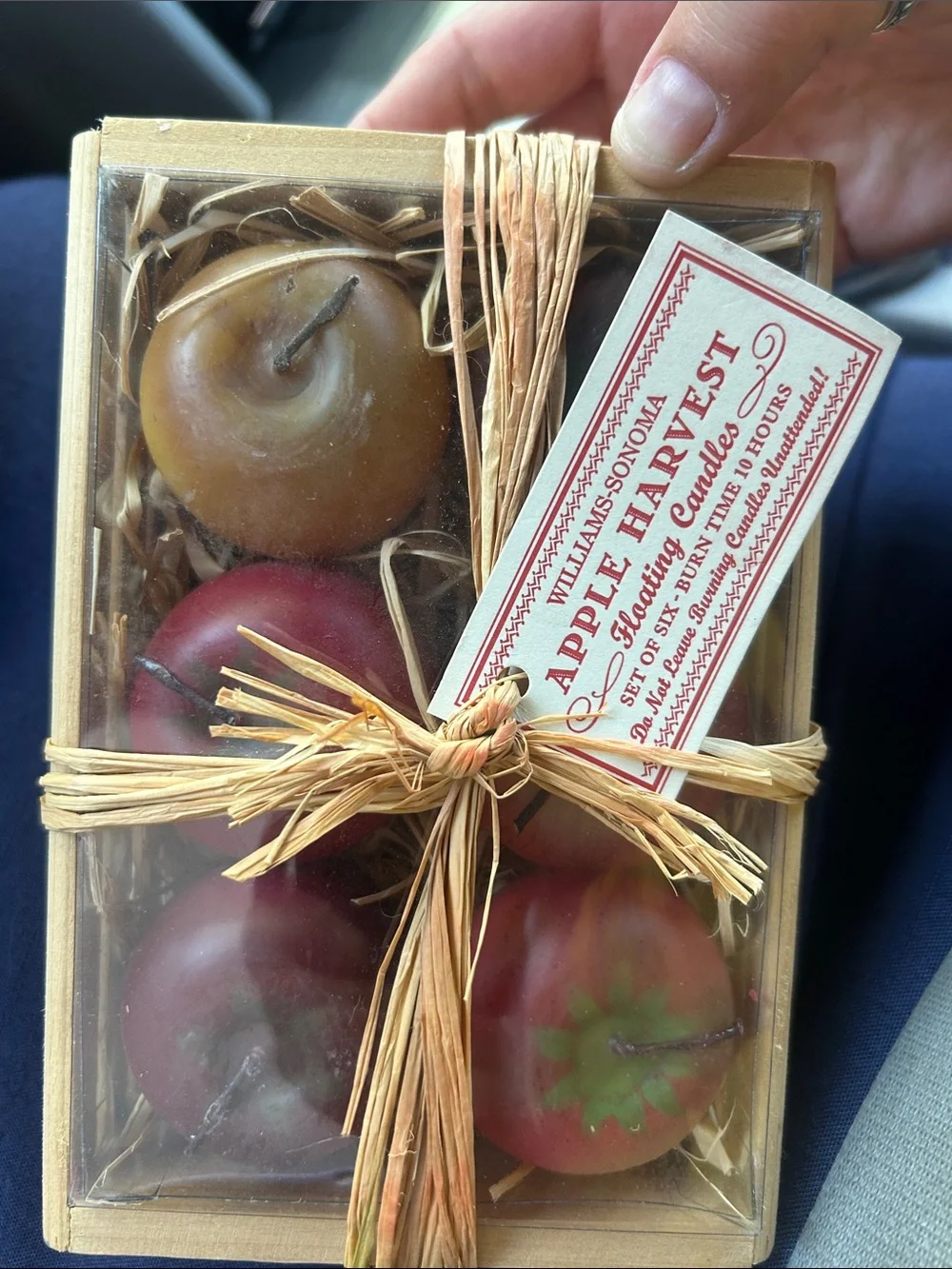 NIP Williams Sonoma Floating Apple candles